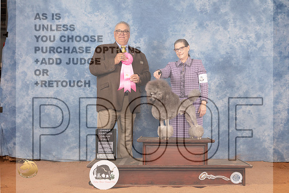 Poodle Miniature #7 Sun OHG1 Judge John LucasMMJ_0904_NRKC2022_HR3