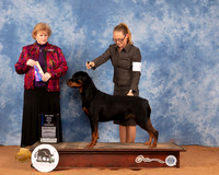 Rottweiler #22 Sun BOB Judge Betty Pollock