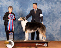 Borzoi #6 Sun BIS Judge Doris Cozart