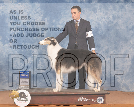 Borzoi #6 Sun G1 Judge Michael CanalizoMMJ_0141_NRKC2022_HR3