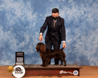 Boykin #6 Sun G4 Judge Dan Dowling