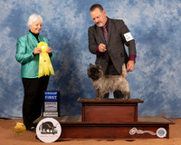 Cairn Terrier #6 Sun G3 Judge Gloria Kerr