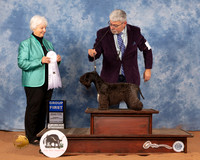 Cesky #7 Sun G4 Judge Gloria Kerr