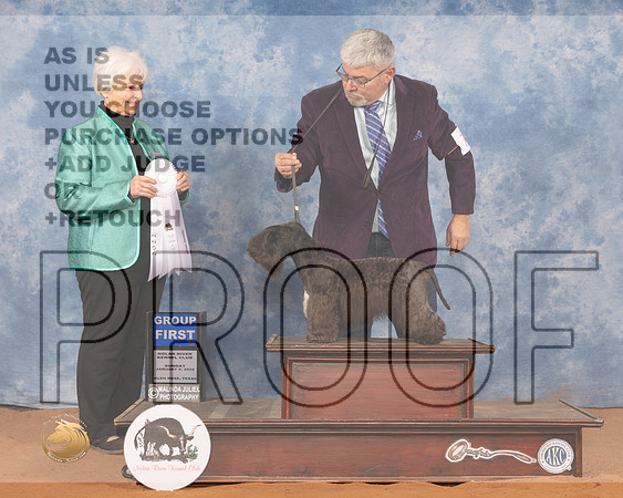 Cesky #7 Sun G4 Judge Gloria KerrMMJ_0033_NRKC2022_HR3