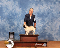 Pug #7 Sun OHG4 Judge Cathy De La Garza