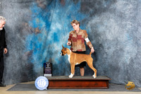 Boxer #12 Fri BOWM Judge Carolyn Herbel