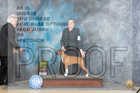 Boxer #6 Sat PG3 Judge Carol White Moser__JP_4907_Fayetteville2024_HR3