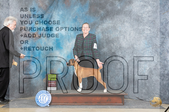 Boxer #6 Sat PG3 Judge Carol White Moser__JP_4908_Fayetteville2024_HR3