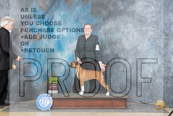 Boxer #6 Sat PG3 Judge Carol White Moser__JP_4909_Fayetteville2024_HR3