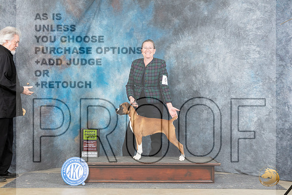 Boxer #6 Sat PG3 Judge Carol White Moser__JP_4910_Fayetteville2024_HR3