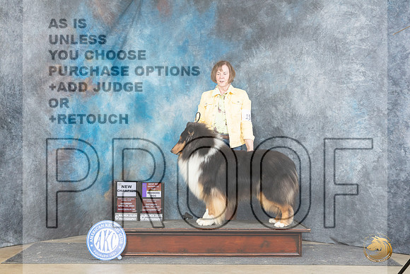 Collie Rough #15 Sat WDBOSMCH Judge Carolyn Herbel__JP_4875_Fayetteville2024_HR3