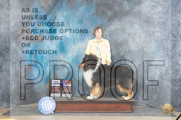 Collie Rough #15 Sat WDBOSMCH Judge Carolyn Herbel__JP_4877_Fayetteville2024_HR3
