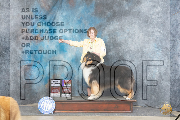 Collie Rough #15 Sat WDBOSMCH Judge Carolyn Herbel__JP_4878_Fayetteville2024_HR3
