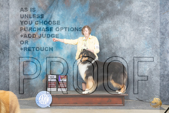 Collie Rough #15 Sat WDBOSMCH Judge Carolyn Herbel__JP_4880_Fayetteville2024_HR3
