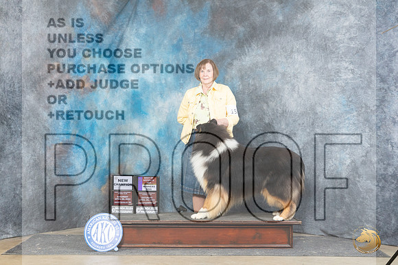 Collie Rough #15 Sat WDBOSMCH Judge Carolyn Herbel__JP_4882_Fayetteville2024_HR3