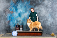 Collie Rough #8 Sat WBBOWBOVOHBOBM Judge Carolyn Herbel