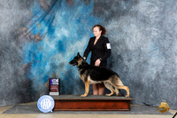German Shepherd Dog #24 Sat WBM Judge Carolyn Herbel