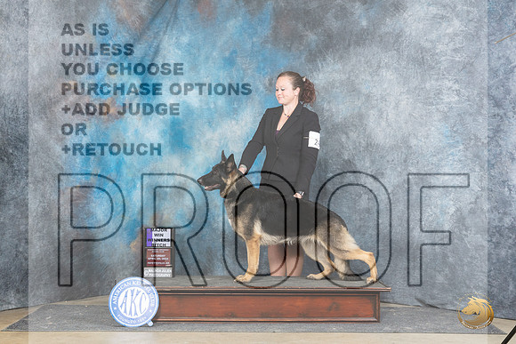 German Shepherd Dog #24 Sat WBM Judge Carolyn Herbel__JP_4896_Fayetteville2024_HR3