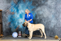 Mastiff Luper Sat