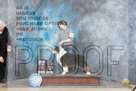 Australian  Shepherd #24 Sat BOSOHBOBSGCH Judge Denny Mounce__JP_4975_Fayetteville2024_HR3