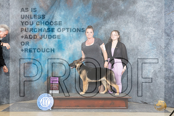 German Shepherd Dog #6 Sat PG1 JUdge Michael Benson__JP_4979_Fayetteville2024_HR3