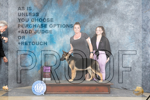 German Shepherd Dog #6 Sat PG1 JUdge Michael Benson__JP_4981_Fayetteville2024_HR3