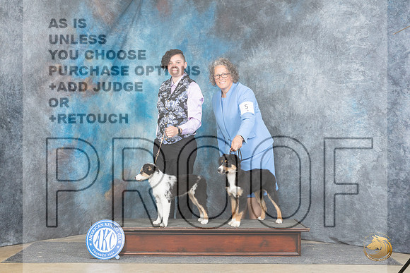 Miniature American Shepherd #6 Sat PG2 Judge Michael Benson__JP_4932_Fayetteville2024_HR3