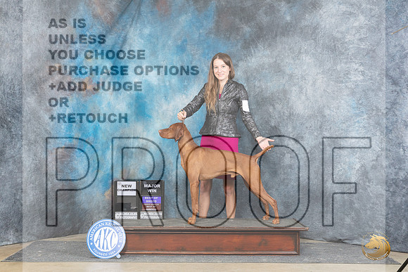 Vizsla #5 Thur BOBOHBOBMCH Judge Ronald Freeman TULSA__JP_4984_Fayetteville2024_HR3
