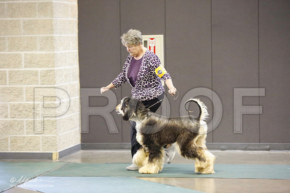 _JN_3991-BeltonJan2015-HR3
