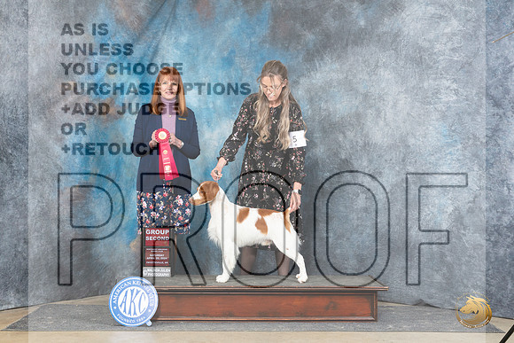 Brittany #5 Sat G2 Judge Linda Hurlebaus__JP_5127_Fayetteville2024_HR3