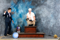 Cairn Terrier #14 Sat WBM JUdge Elizabeth Muthard