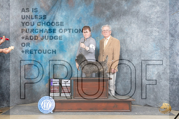 Cairn Terrier #7 Sat WDCH Judge Elizabeth Muthard__JP_5085_Fayetteville2024_HR3
