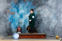 Cavalie King Charles Spaniel #9 Sat G2 Judge Elizabeth Muthard
