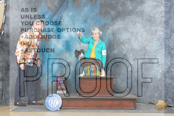 Chinese Crested #8 Fri OHG1 Judge Scott Toney r__JP_5219_Fayetteville2024_HR3