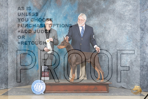 Doberman Pinscher #5 Sat OHG4 Judge Michael Benson__JP_5135_Fayetteville2024_HR3