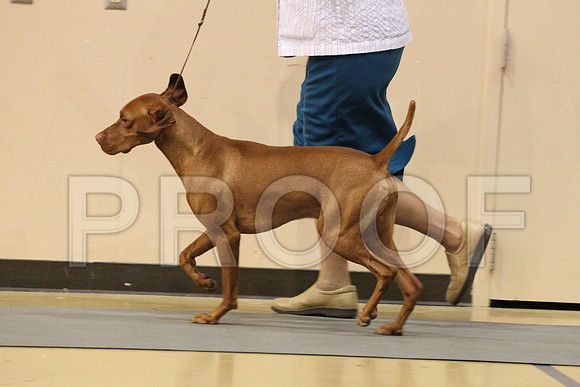 MJS_2666