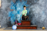 French Bulldog #39 Sat OHG1 Judge Elizabeth Muthard