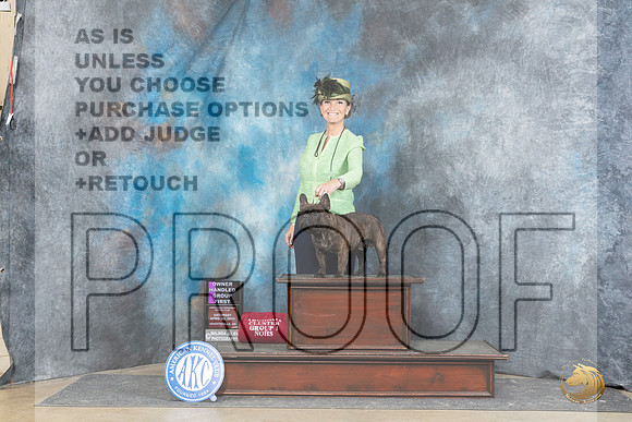 French Bulldog #39 Sat OHG1 Judge Elizabeth Muthard__JP_5234_Fayetteville2024_HR3