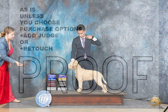 Logotto Romangolo #6 Thur WBBOWBOB Judge Carolynn Herbel__JP_5013_Fayetteville2024_HR3