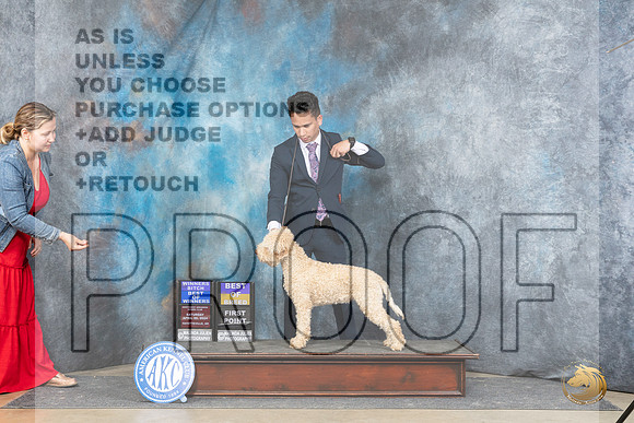 Logotto Romangolo #6 Thur WBBOWBOB Judge Carolynn Herbel__JP_5014_Fayetteville2024_HR3