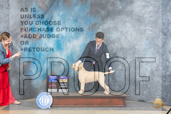 Logotto Romangolo #6 Thur WBBOWBOB Judge Carolynn Herbel__JP_5015_Fayetteville2024_HR3