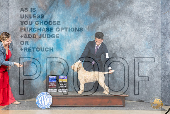 Logotto Romangolo #6 Thur WBBOWBOB Judge Carolynn Herbel__JP_5016_Fayetteville2024_HR3