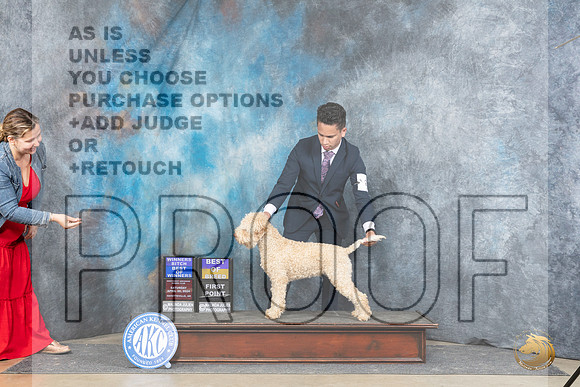 Logotto Romangolo #6 Thur WBBOWBOB Judge Carolynn Herbel__JP_5019_Fayetteville2024_HR3