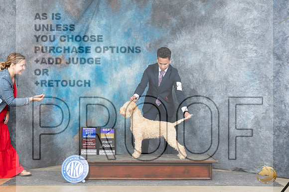 Logotto Romangolo #6 Thur WBBOWBOB Judge Carolynn Herbel__JP_5020_Fayetteville2024_HR3