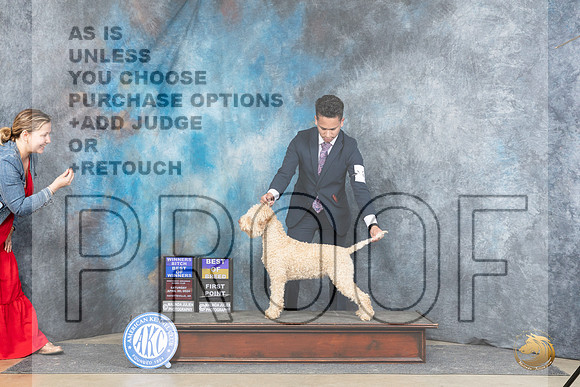 Logotto Romangolo #6 Thur WBBOWBOB Judge Carolynn Herbel__JP_5021_Fayetteville2024_HR3