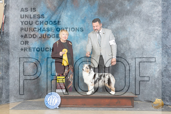 Miniature American Shepherd #20 Sat G3 Judge Carol White Moser__JP_5264_Fayetteville2024_HR3