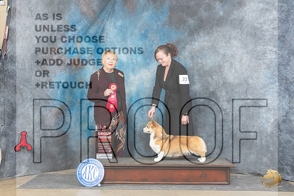 Pembroke Welsh Corgi #22 Sat G2 Judge Carol White Moser__JP_5253_Fayetteville2024_HR3