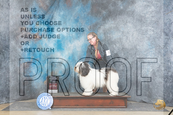 Polish Lowland Sheepdog #5 Sat OHG3 Judge Charles Olvis__JP_5139_Fayetteville2024_HR3