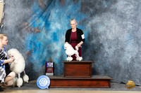 Poodle Toy #14 Sat BOBM Judge Michael Benson