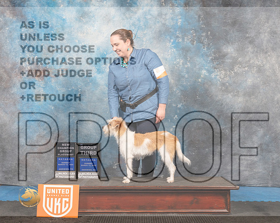 Kromfohrlander #277 Sun G2 Judge Pam Moore_MMJ_6761_Addison2022_HR3